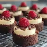 brownie bottom mini cheesecakes 2026 04 16 171712 819x1024 1