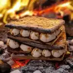 frozen smores 2026 04 16 185327 819x1024 1