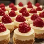 mini cheesecakes 2026 04 16 171235 819x1024 1