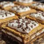 smores bars recipe 2026 04 16 172205 819x1024 1