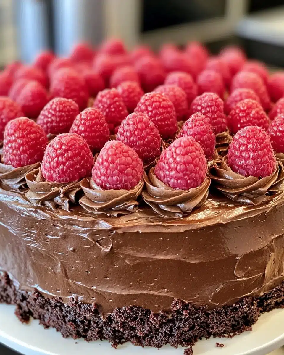 Chocolate Raspberry Layer Cake